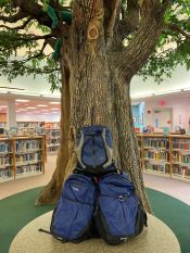 display of hiking backpacks in front of the tree in the children's department