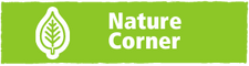 Nature Corner