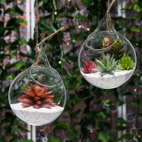 Two glass terrariums hanging from strings