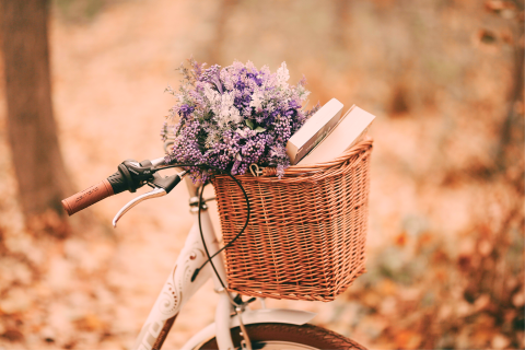 books and flowers in a bicycle basket