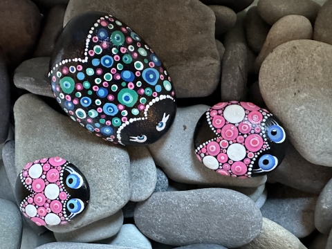 Rocks painted with mandala dotting to resemble bugs