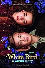 White Bird movie poster