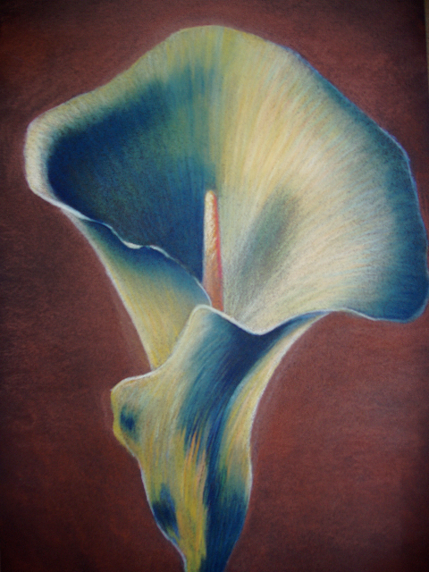 calla lily pastel