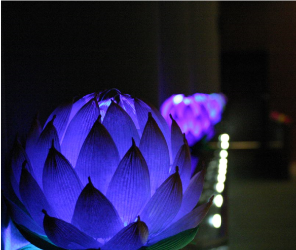 lotus flower lantern