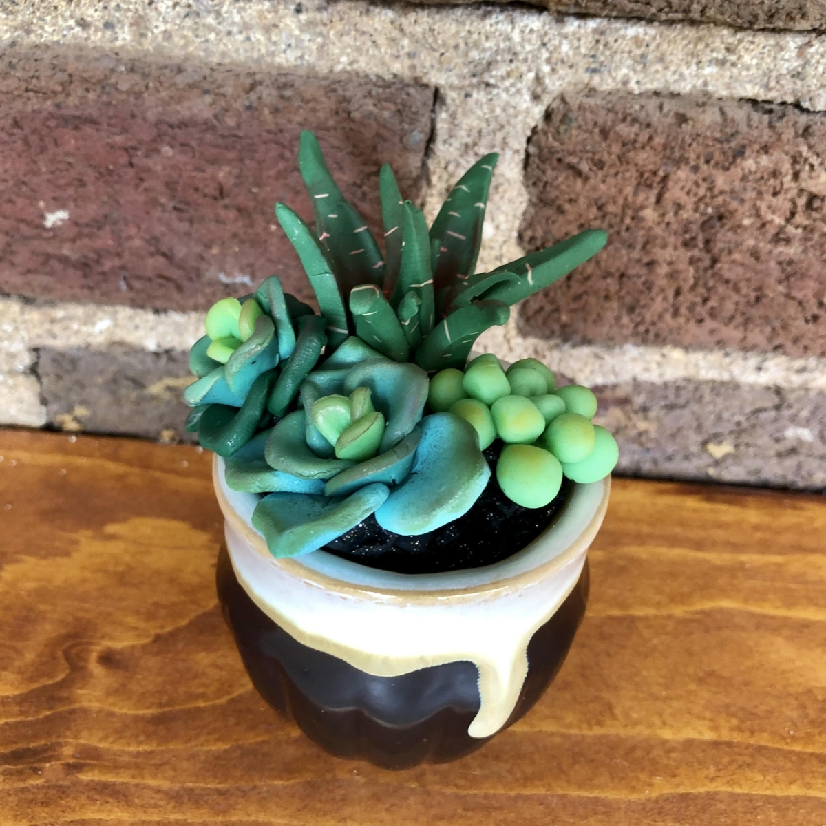 clay succulent