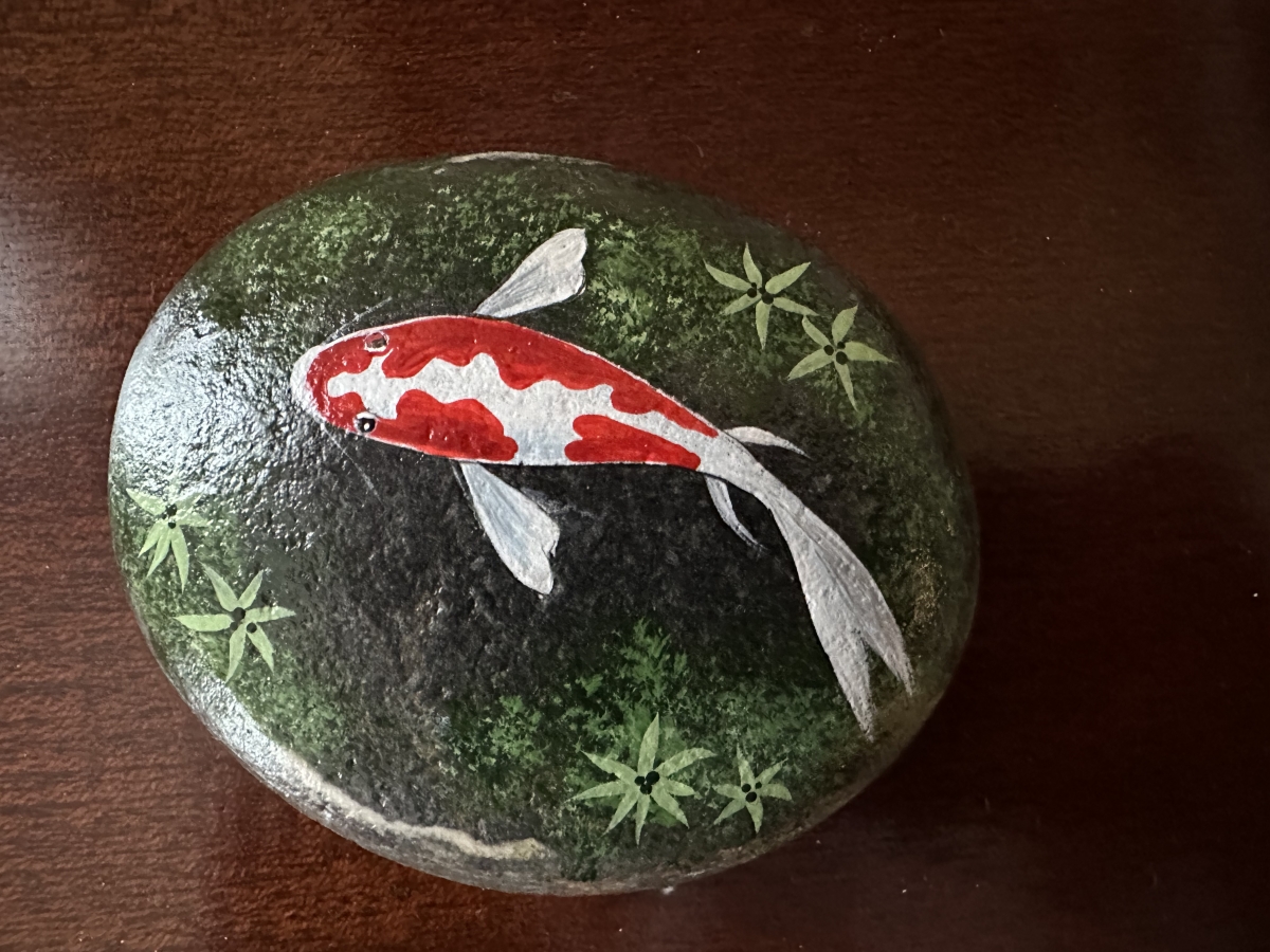 koi rock