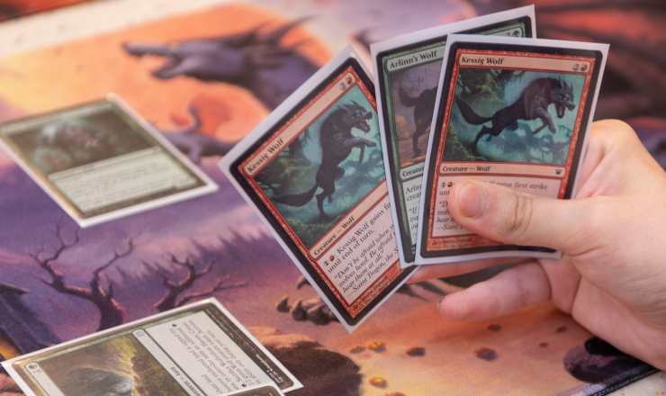 Display Your Collection linked image showing someone holding magic: the gathering cards